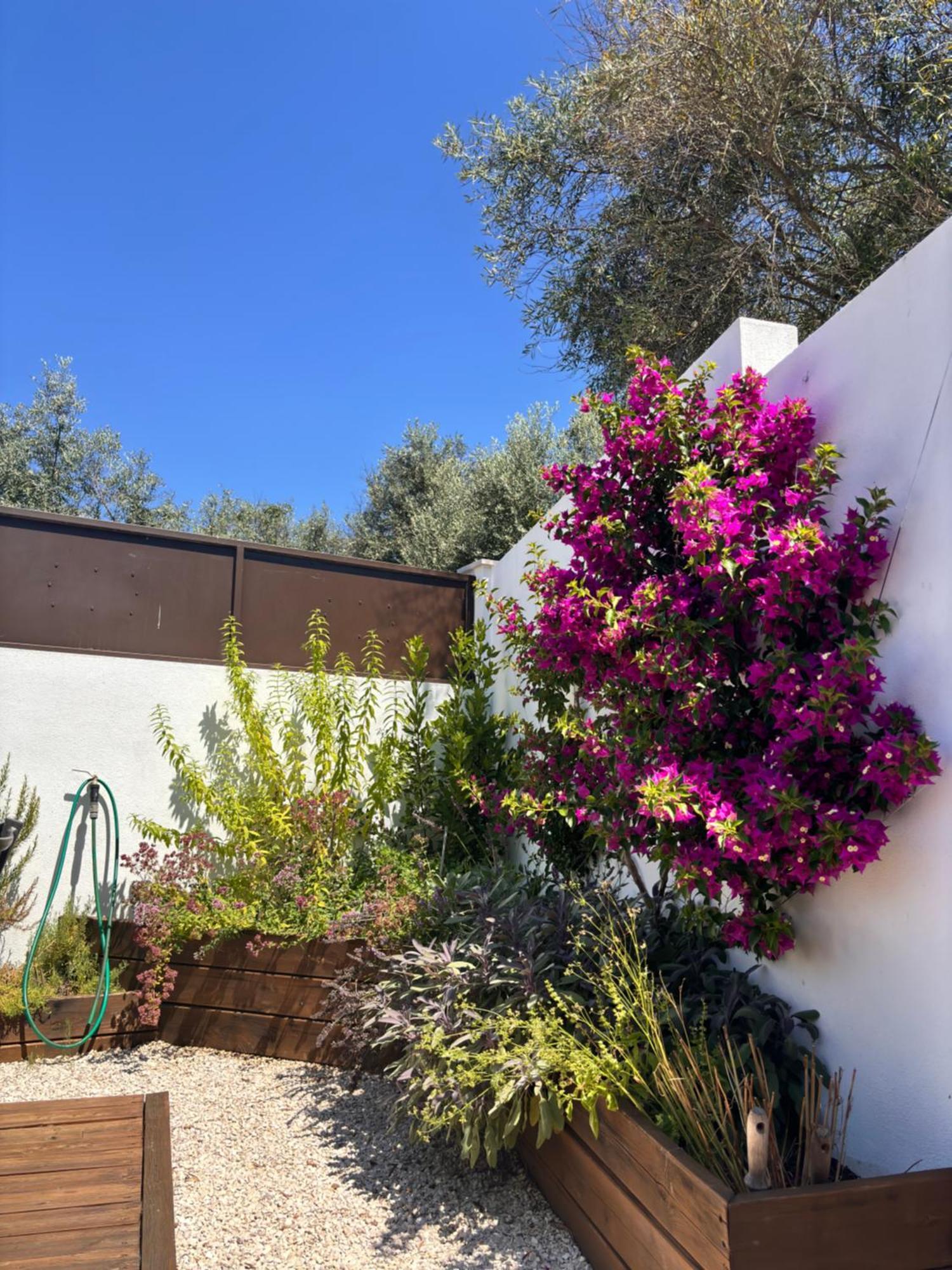 Casa Da Oliveira Bed & Breakfast Pedrogao Grande Bagian luar foto