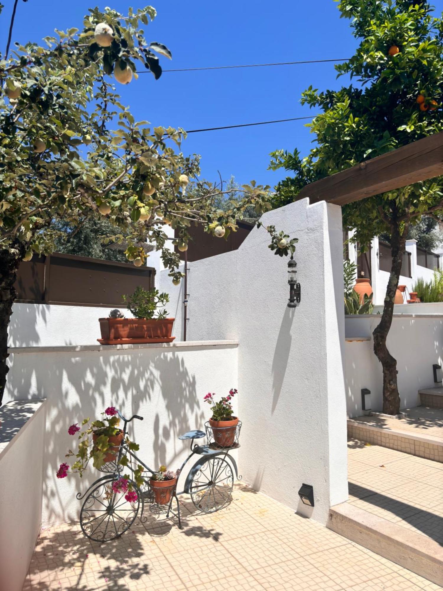 Casa Da Oliveira Bed & Breakfast Pedrogao Grande Bagian luar foto